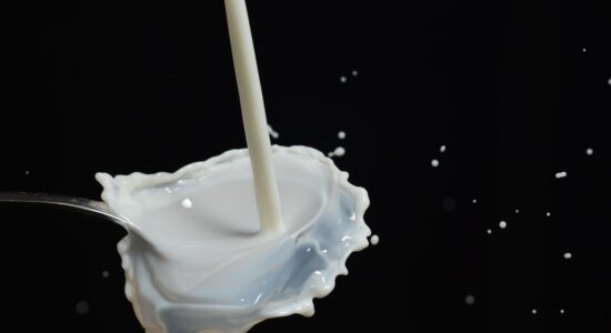 latte