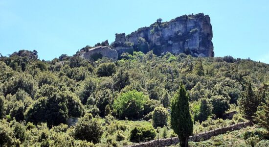 montes