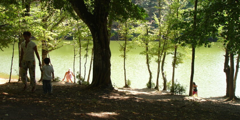 Foresta Umbra