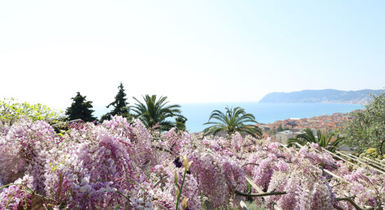 Villa della Pergola