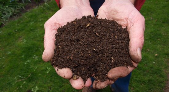 compost