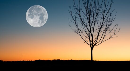 luna piena