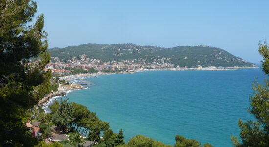 Andora
