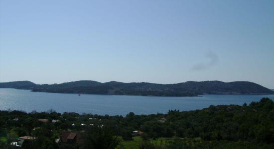 calamotta croazia