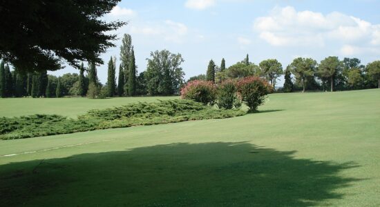 parco sigurta