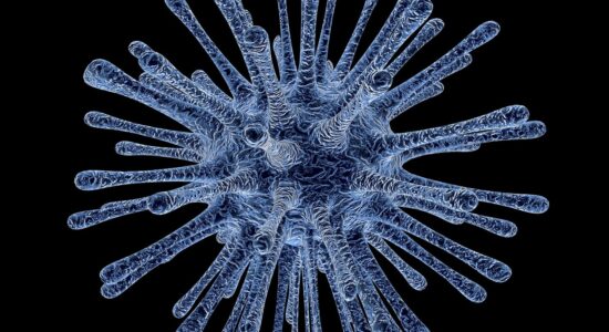 virus