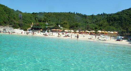 Antipaxos