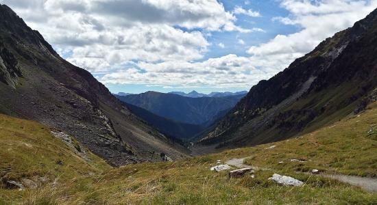 Giro di viso