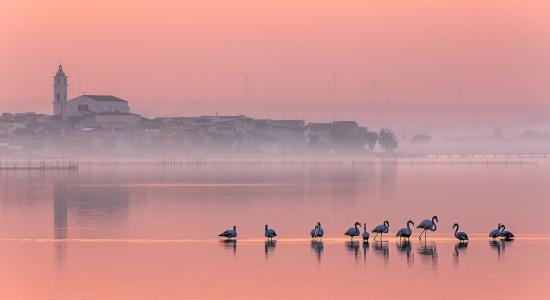 Lago di Lesina