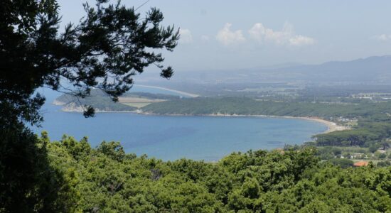 Maremma