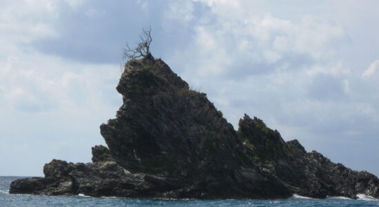 Scoglio dell'Ulivo