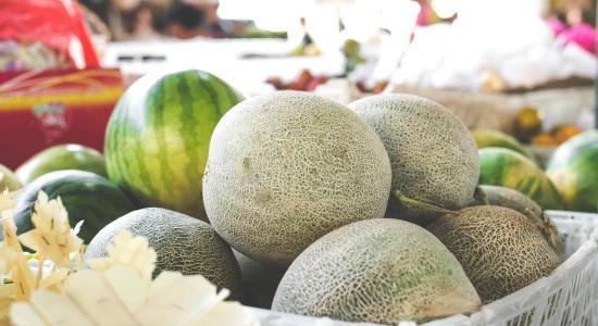 cocomero melone