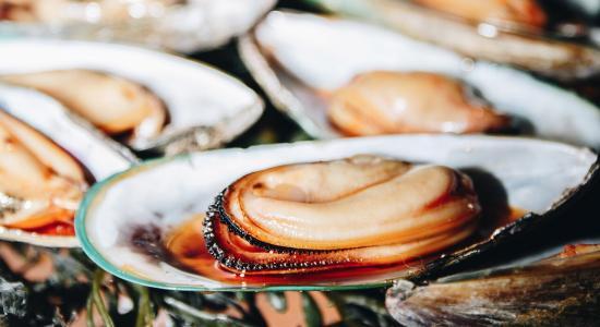 cozze