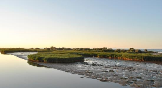 Delta del Po