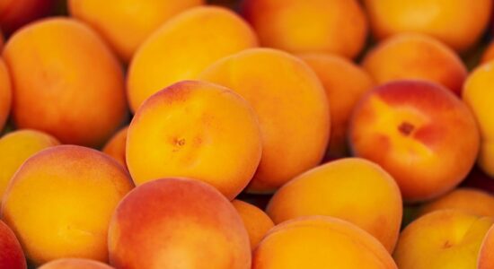 frutto