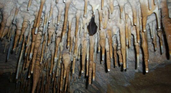 grotta