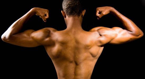 muscoli