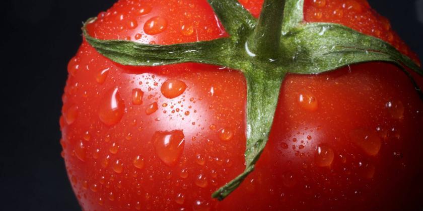 pomodoro