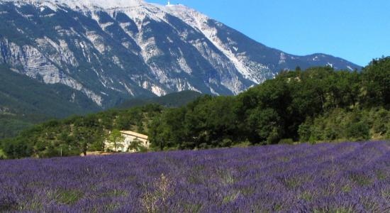 Provenza