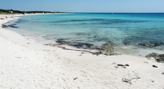 punta prosciutto