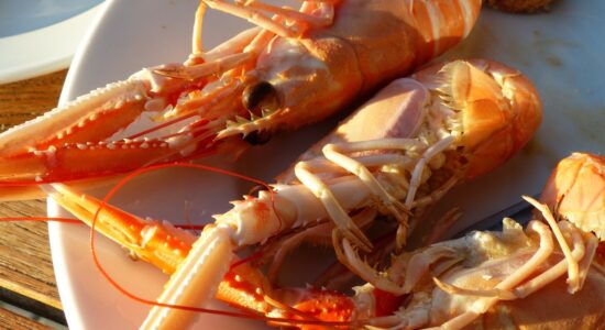 scampi