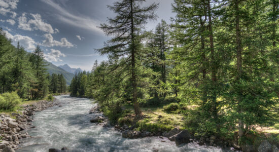 Val Ferret