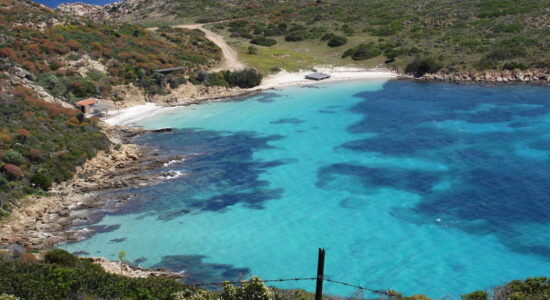 cala