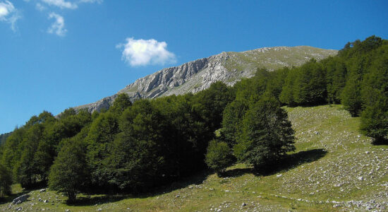 monte pollino