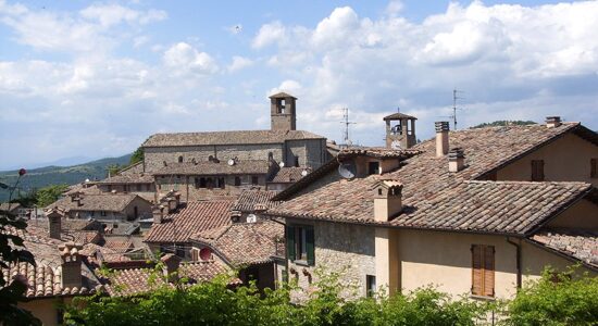 Montone