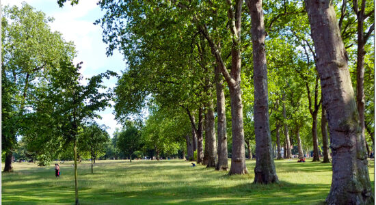 Hyde Park