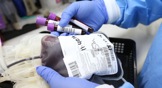 donare il sangue