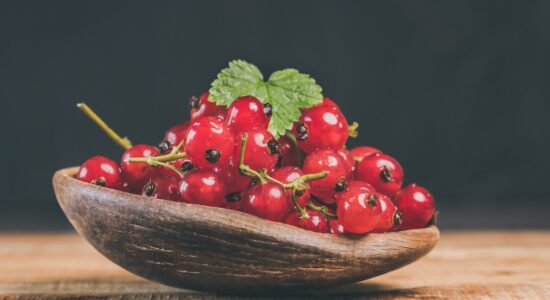 ribes