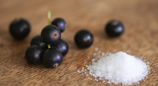 ribes nero