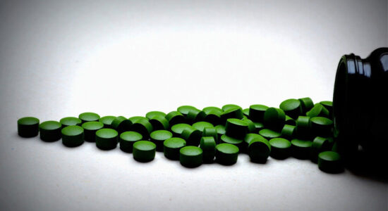 alga chlorella