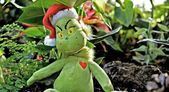 Natale Grinch