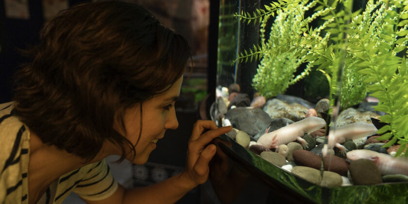 acquario