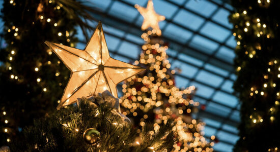 albero di natale