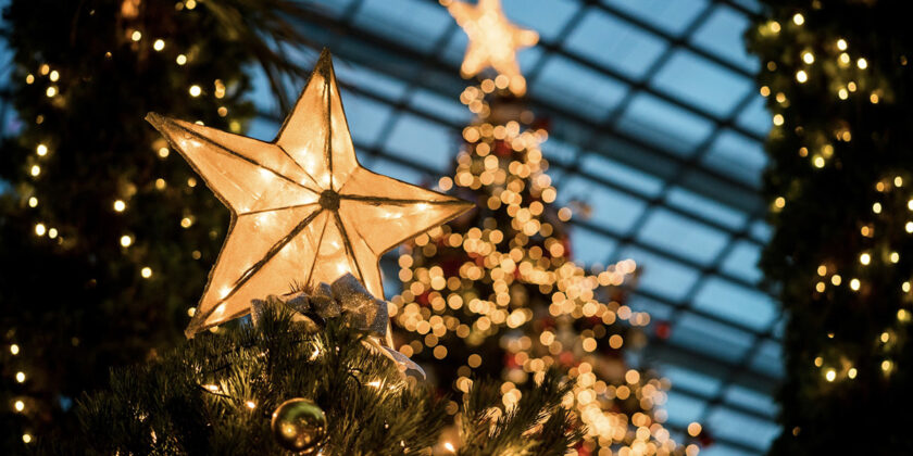 albero di natale