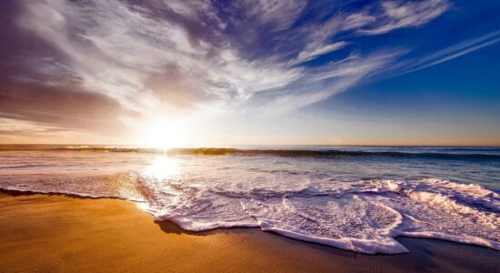 mare