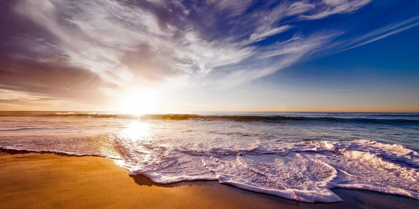 mare