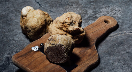 tartufo