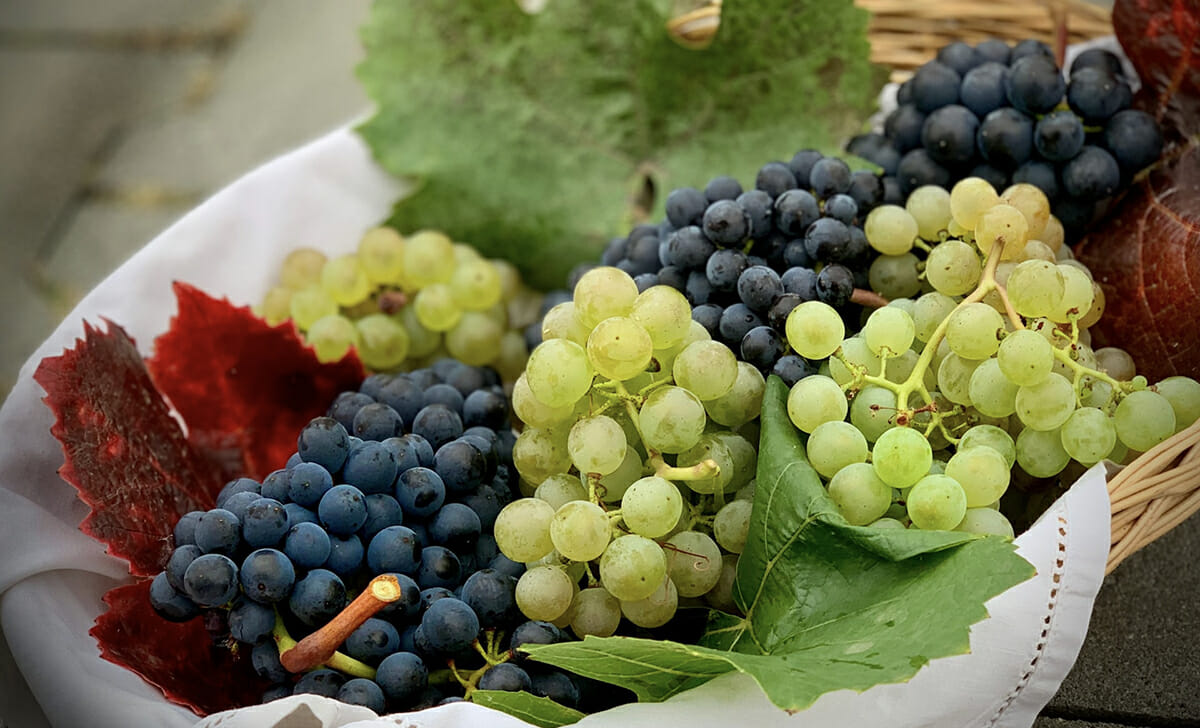 12 chicchi d'uva garantiranno fortuna per tutto l'anno in arrivo