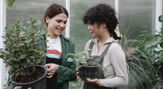 3 bellissime piante per augurare fortuna e ricchezza