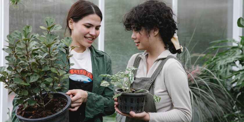 3 bellissime piante per augurare fortuna e ricchezza
