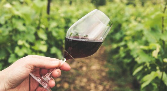 Assaggiare buon vino in vacanza in Toscana-proiezionidiborsa.it