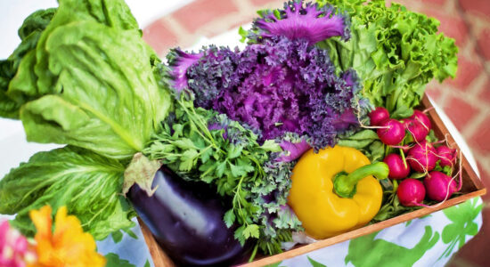 Attenzione alla quantità di verdure che si consuma