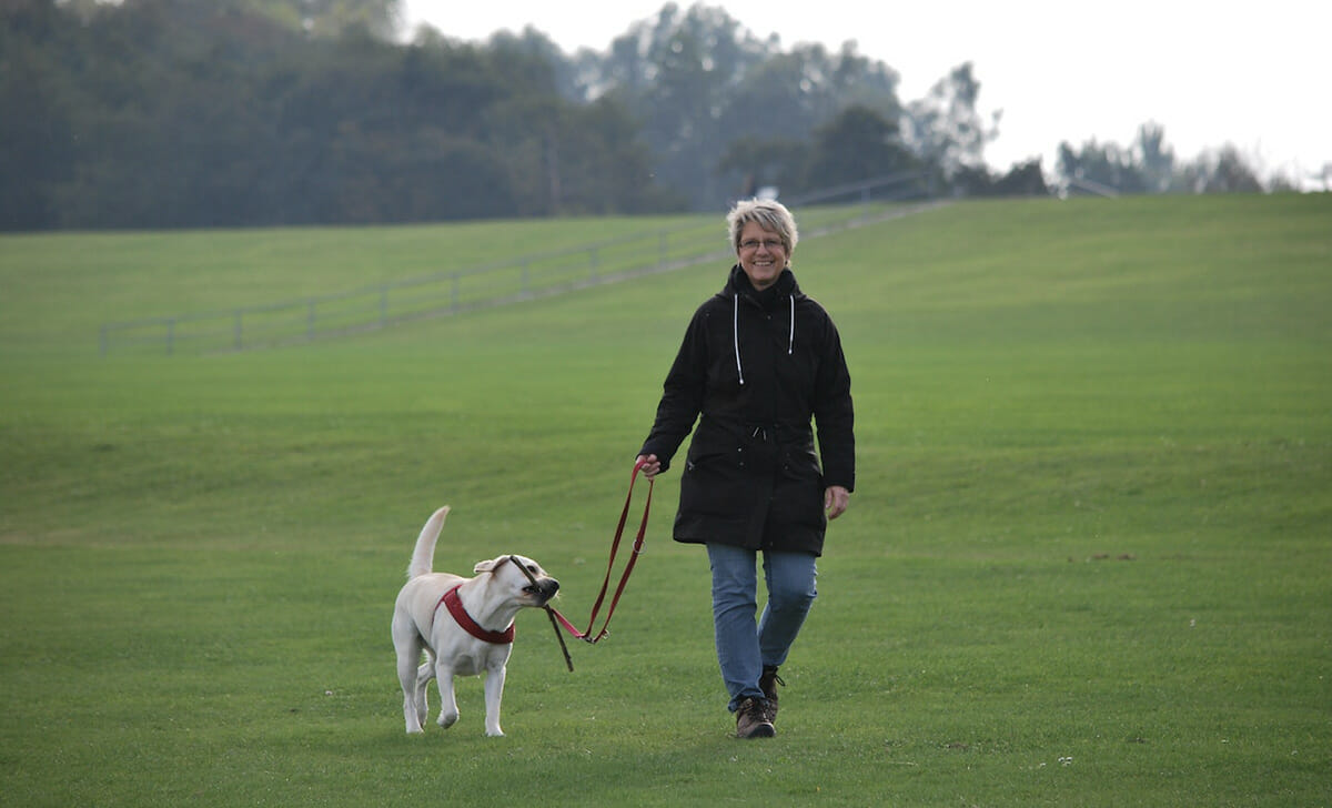 Avere un cane da portare a passeggio è un ottimo modo per camminare