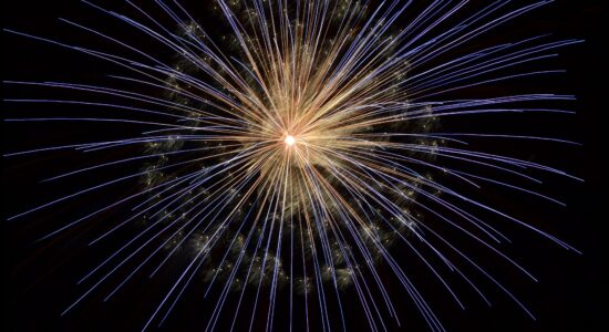 Chi festeggerà Capodanno in casa deve