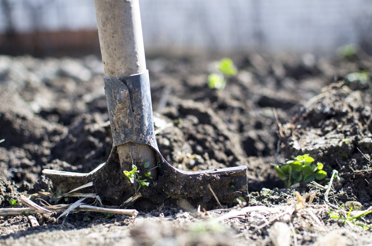 Chi ha un giardino potrebbe interrarli-proiezionidiborsa.it