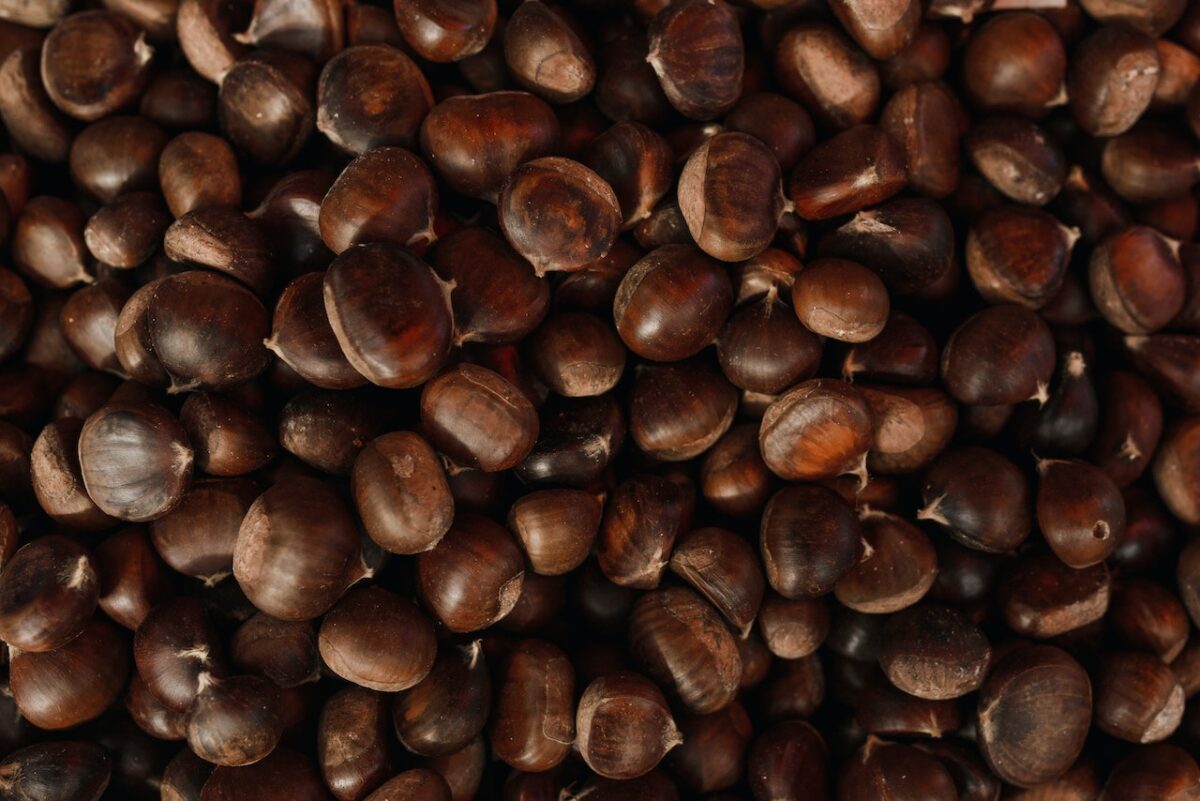 Ci sarà una degustazione di castagne e e vin brulè-proiezionidiborsa.it
